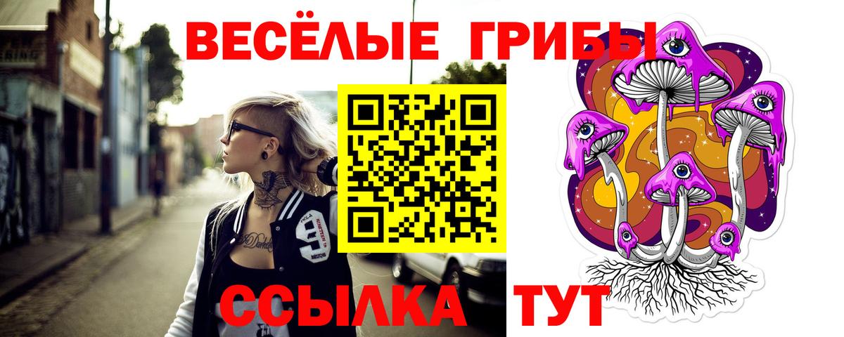 купить закладку  Галлюциногенные грибы Psilocybine cubensis  Псилоцибиновые грибы Psilocybine cubensis  Вход с VPN  Зеленогорск 