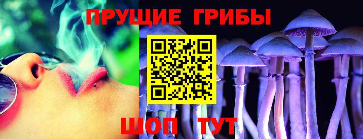 Галлюциногенные грибы Magic Shrooms Зеленогорск