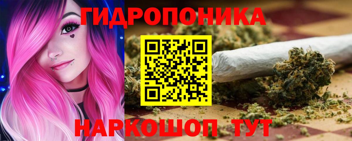 Марихуана OG Kush  Канабис ГИДРОПОН  Зеленогорск  Каннабис White Widow  Канабис индика  Вход с VPN 